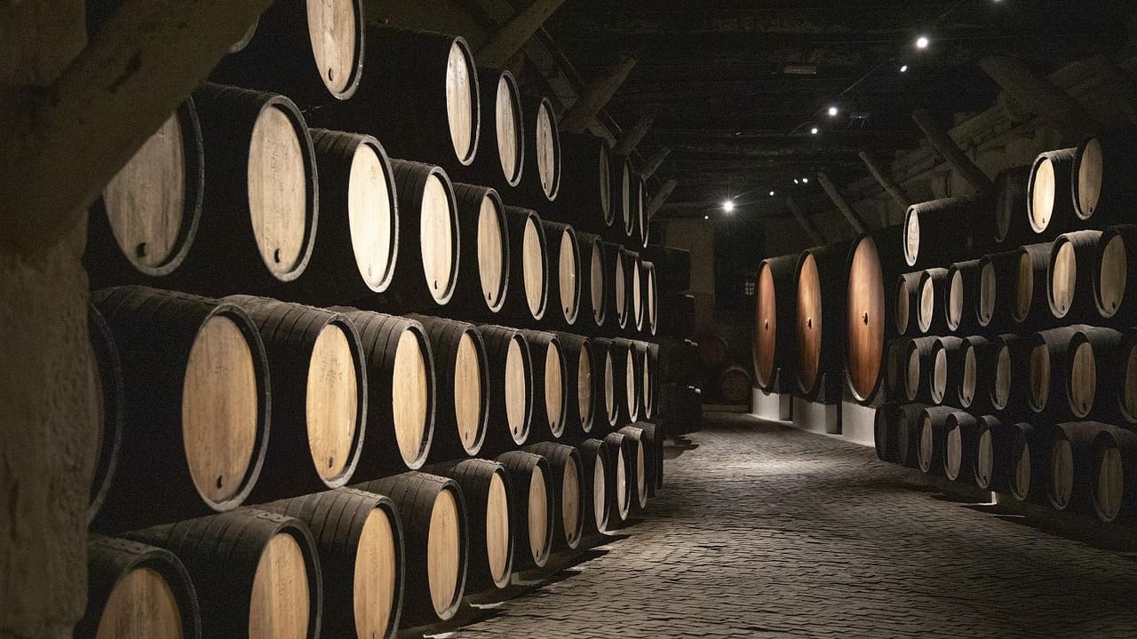 Barriles-bodega-españa-vino