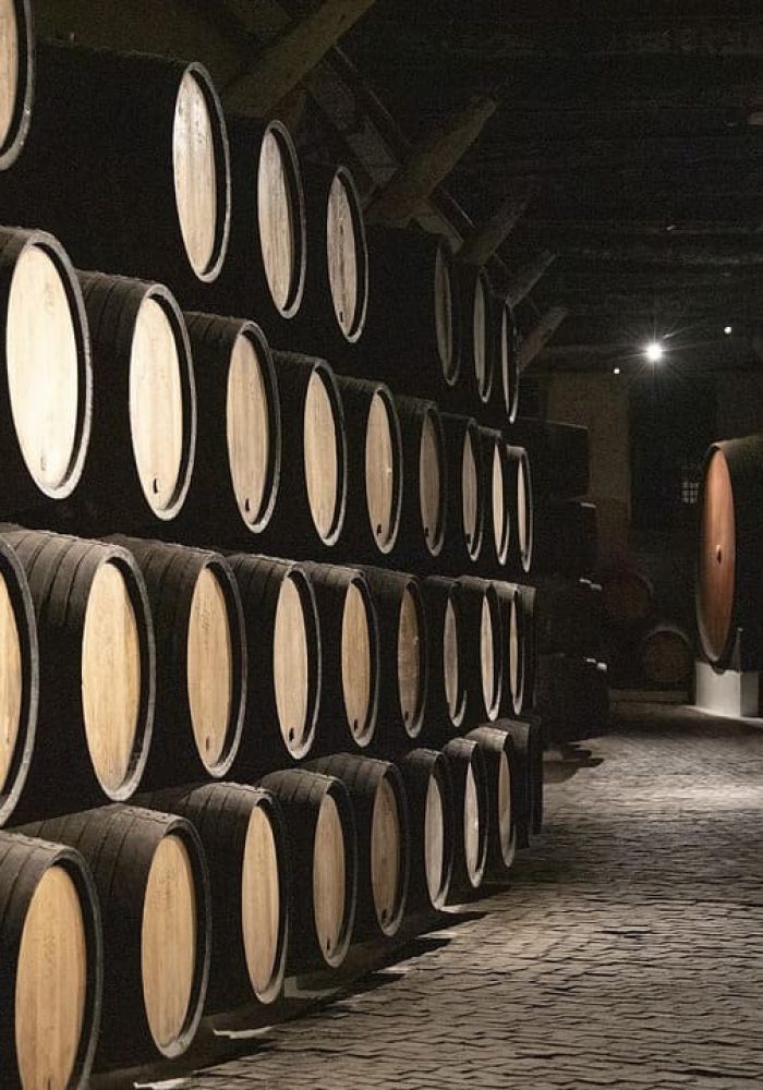 Barriles-bodega-españa-vino